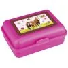 Paarden Vrienden Lunchbox
