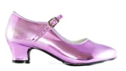 Prinsessen Schoenen Metalic + Gratis Kado