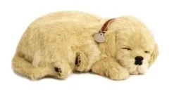 Perfect Petzzz Hondje Golden Retriever